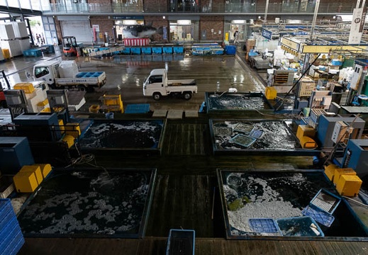 202303231205-DSC03890.jpg