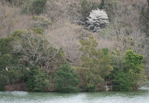 202303241551-DSC04218.jpg