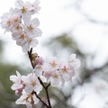 202303241613-DSC04232.jpg