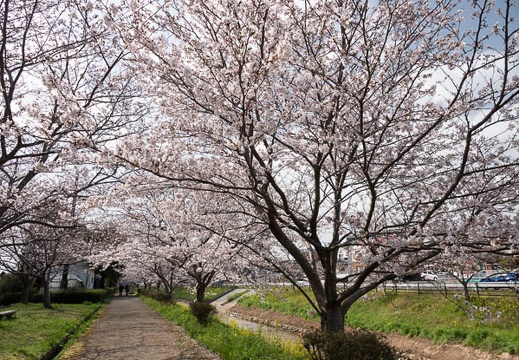 202303251455-DSC04338.jpg