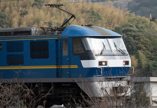 202303251511-DSC04387.jpg
