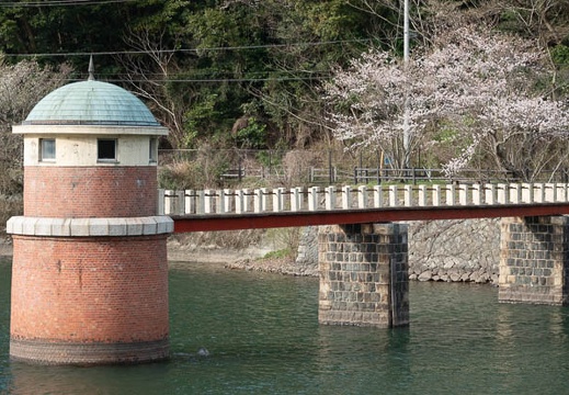 202303251626-DSC04492.jpg