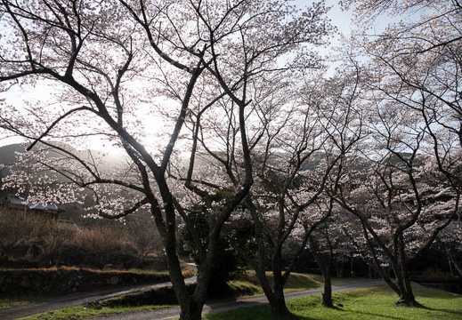 202303251639-DSC04522.jpg