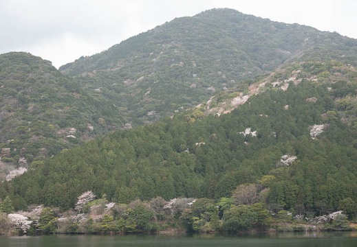 202303270951-DSC04632.jpg