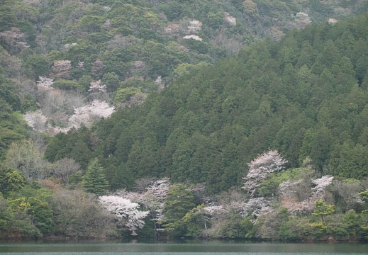 202303270953-DSC04645.jpg