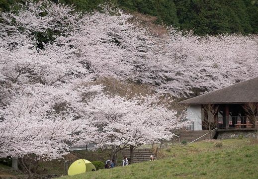 202303271057-DSC04797.jpg