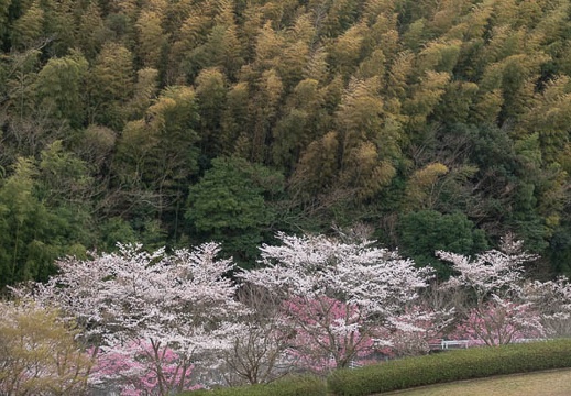 202303271134-DSC04857.jpg