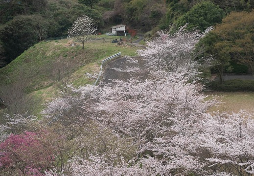 202303271139-DSC04868.jpg