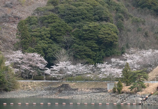 202303271205-DSC04916.jpg