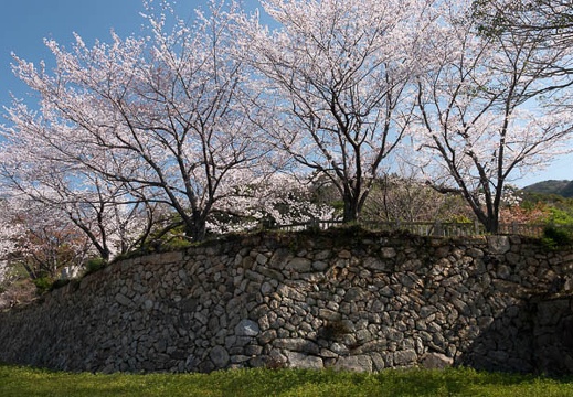202303280919-DSC05372.jpg