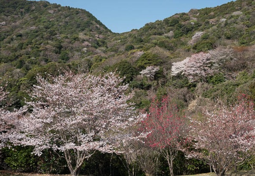 202303280922-DSC05378.jpg