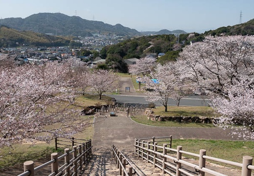 202303280938-DSC05411.jpg