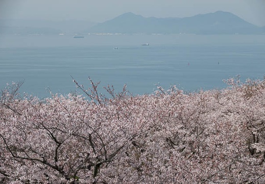 202303291032-DSC06072.jpg