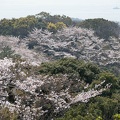 202303291057-DSC06124.jpg