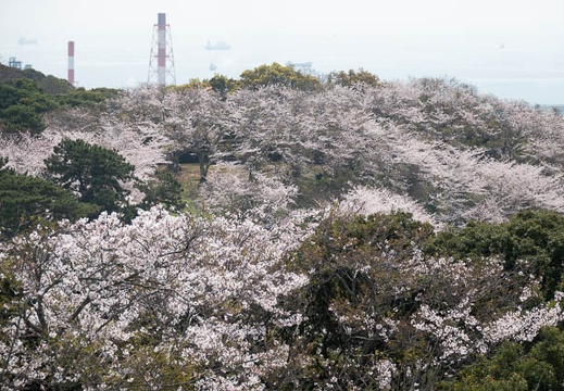 202303291059-DSC06133.jpg
