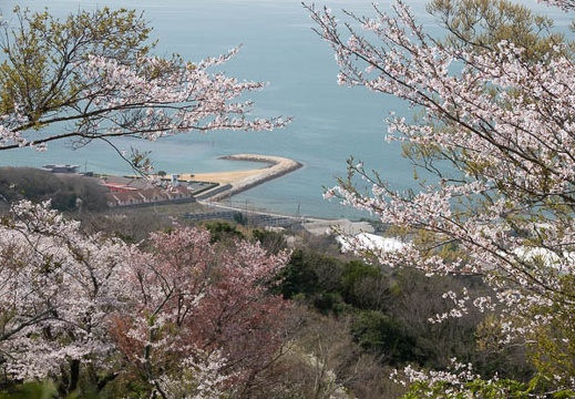 202303291100-DSC06140.jpg