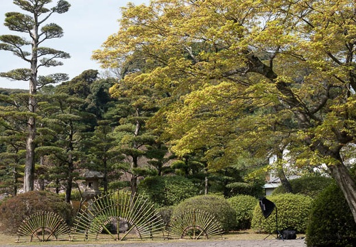 202303301057-DSC06555.jpg