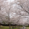 202303301218-DSC06745.jpg