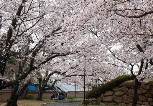 202303301220-DSC06757.jpg