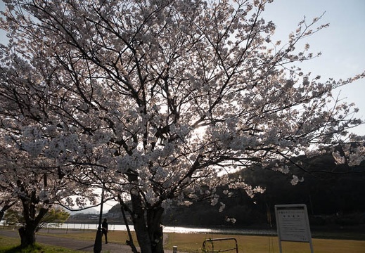 202303311659-DSC07125.jpg
