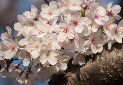 202303311724-DSC07209.jpg