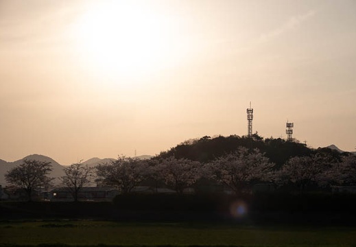 202303311739-DSC07247.jpg
