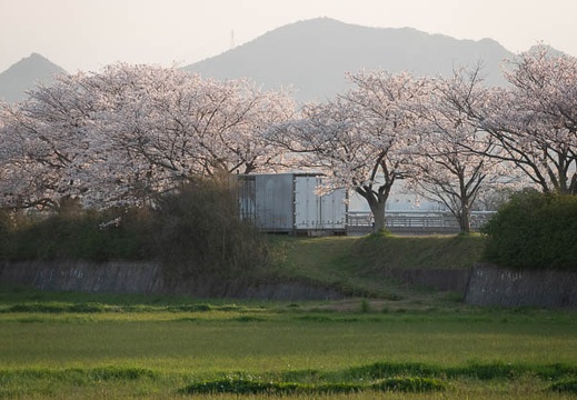 202303311741-DSC07253.jpg