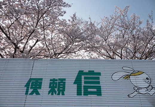 202303311745-DSC07259.jpg