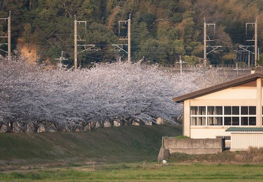 202303311748-DSC07265.jpg
