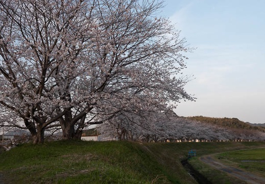 202303311753-DSC07276.jpg