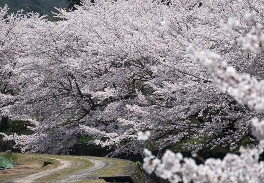 202304011034-DSC07445.jpg