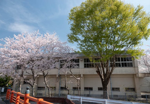 202304011036-DSC07451.jpg