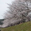 202304011233-DSC07618.jpg