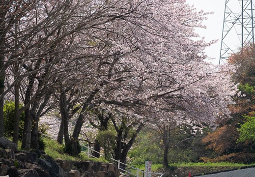 202304021118-DSC07769.jpg