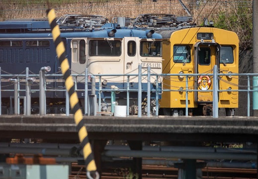 202304021338-DSC07873.jpg