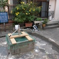 202304021658-DSC08114.jpg
