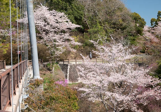 202304031426-DSC08333.jpg