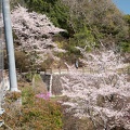 202304031426-DSC08333.jpg