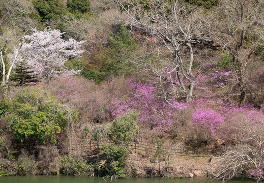 202304031430-DSC08347.jpg