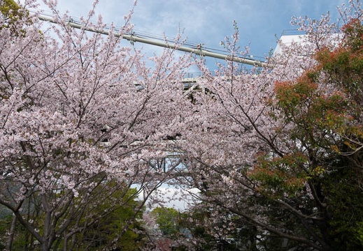 202304041325-DSC08776.jpg