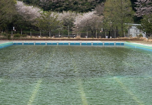 202304041425-DSC08871.jpg