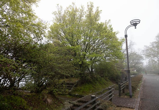 202304061401-DSC09128.jpg