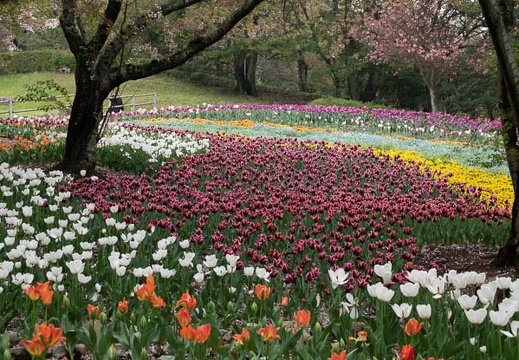 202304061438-DSC09174.jpg