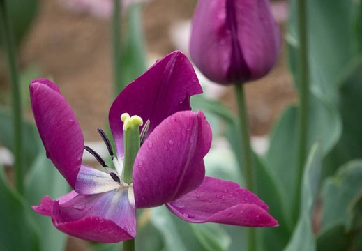 202304061444-DSC09199.jpg