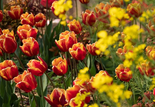 202304071458-DSC09299.jpg