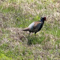 202304101339-DSC09963.jpg