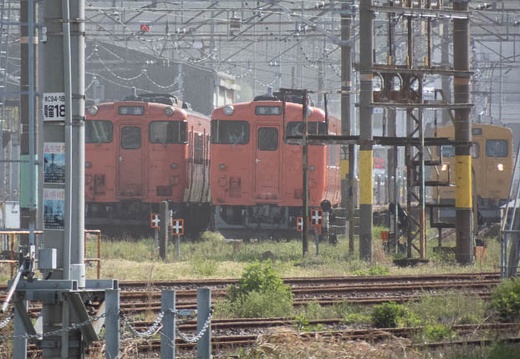 202304121519-DSC01947.jpg