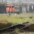202304121618-DSC02069.jpg