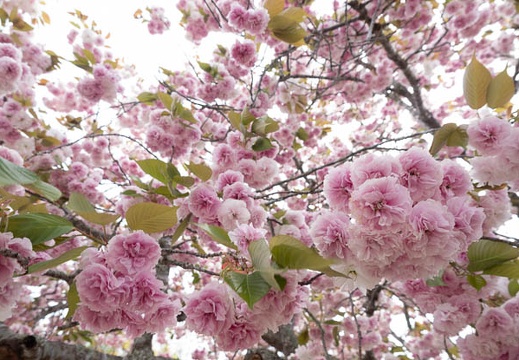 202304181340-DSC00714.jpg