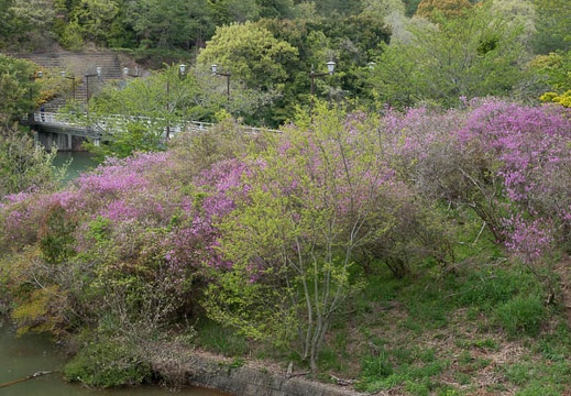202304181342-DSC00720.jpg